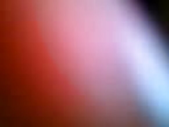 నేపాలీ